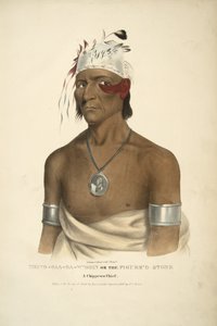 Shing-Gaa-Ba-Wosin o La Piedra Figurativa de James Otto Lewis
